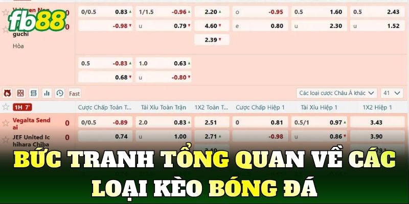 Bức tranh tổng quan về các loại kèo bóng đá