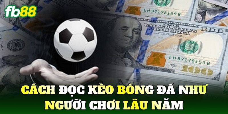 Cách Đọc Kèo Bóng Đá Chuẩn Nhà Cái Cho Người Mới 3 Cách Đọc Kèo Bóng Đá như người chơi lâu năm