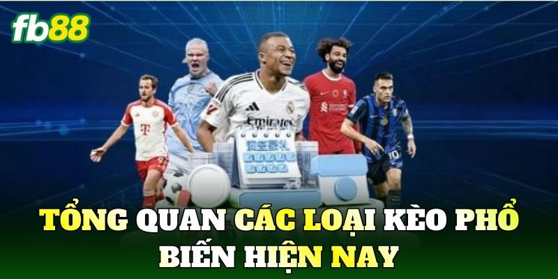 Cách Đọc Kèo Bóng Đá Chuẩn Nhà Cái Cho Người Mới 2 Tổng quan các loại kèo phổ biến hiện nay