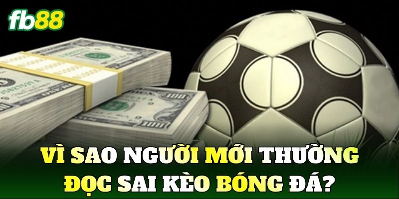 Cách Đọc Kèo Bóng Đá Chuẩn Nhà Cái Cho Người Mới 1 Vì sao người mới thường đọc sai kèo bóng đá?