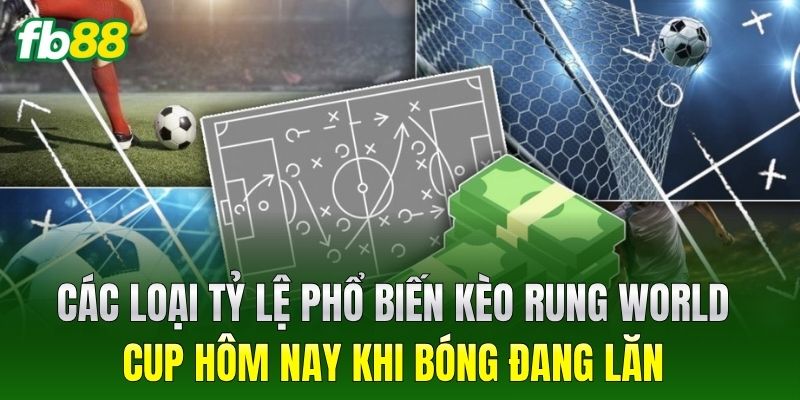 Các loại tỷ lệ phổ biến Kèo Rung World Cup Hôm Nay khi bóng đang lăn