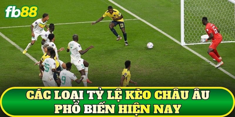 Các loại tỷ lệ kèo châu Âu phổ biến hiện nay