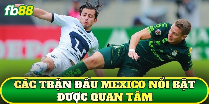 Kèo Bóng Đá Mexico: Phân Tích Liga MX Chi Tiết 2 Các trận đấu Mexico nổi bật được quan tâm