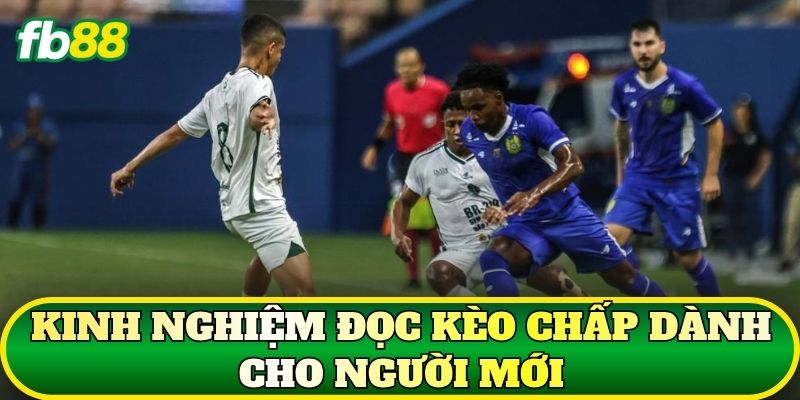 Kinh nghiệm đọc kèo chấp dành cho người mới