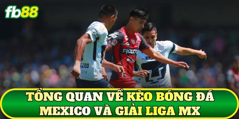 Kèo Bóng Đá Mexico: Phân Tích Liga MX Chi Tiết 1 Tổng quan về kèo bóng đá Mexico và giải Liga MX