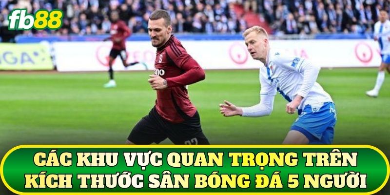Kích Thước Sân Bóng Đá 5 Người Tiêu Chuẩn Và Cách Đọc Kèo 2 Các khu vực quan trọng trên kích thước sân bóng đá 5 người