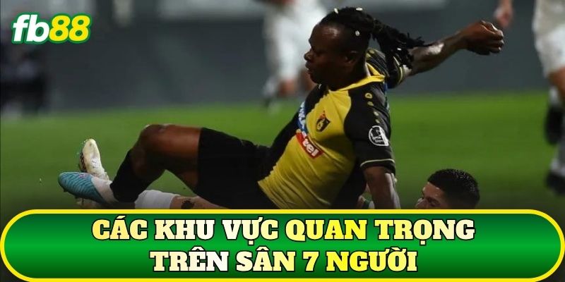 Kích Thước Sân Bóng Đá 7 Người Chuẩn Mới Nhất 2026 2 Các khu vực quan trọng trên sân 7 người