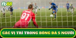Các Vị Trí Trong Bóng Đá 5 Người