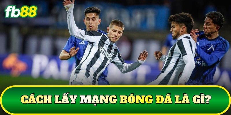 Cách Lấy Mạng Bóng Đá Và Ứng Dụng Khi Soi Kèo Từ FB88 1 Cách lấy mạng bóng đá là gì?