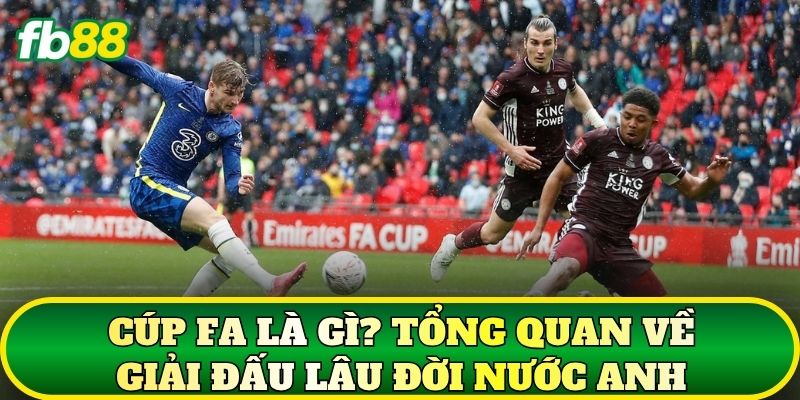 Cúp FA là gì? Tổng quan về giải đấu lâu đời nước Anh