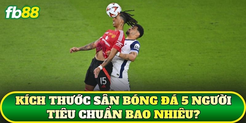 Kích Thước Sân Bóng Đá 5 Người Tiêu Chuẩn Và Cách Đọc Kèo 1 Kích thước sân bóng đá 5 người tiêu chuẩn bao nhiêu?