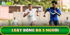 Luật Bóng Đá 5 Người