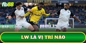 LW Là Vị Trí Nào